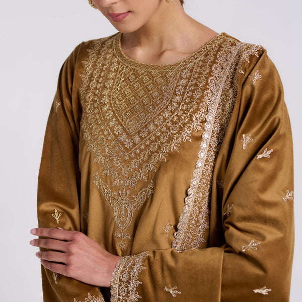 Brown Ochre Embroidered Gulzaar Velvet Set with Dupatta