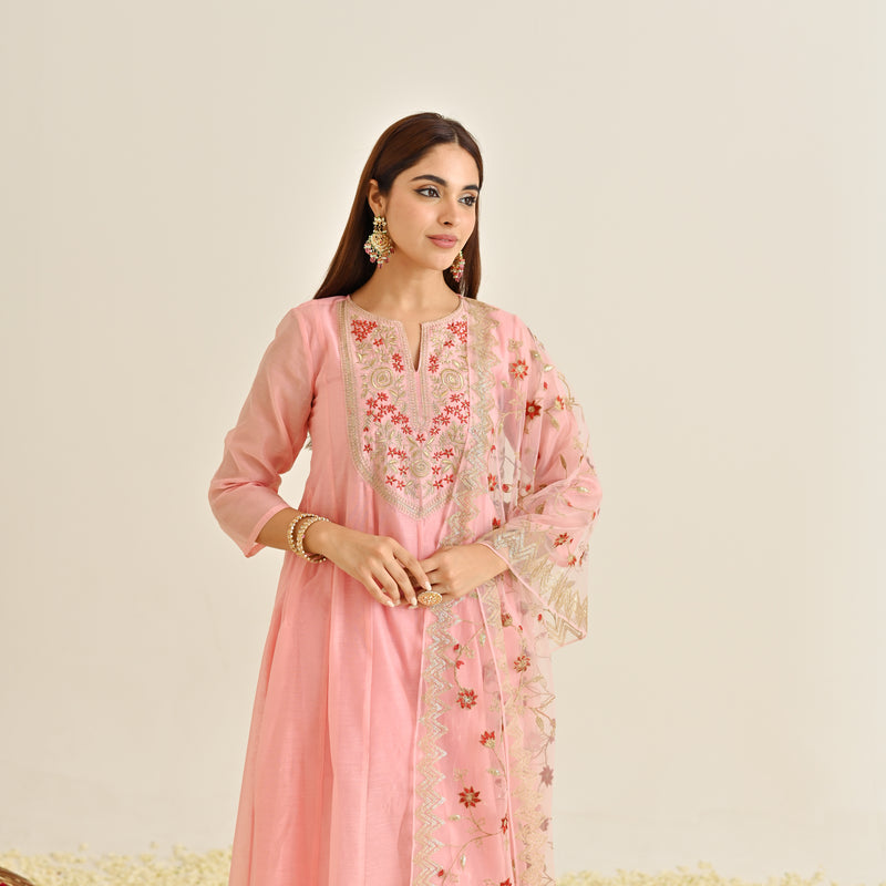 Light Pink Festive Anarkali Set with Embroidered Dupatta & Yoke Detail